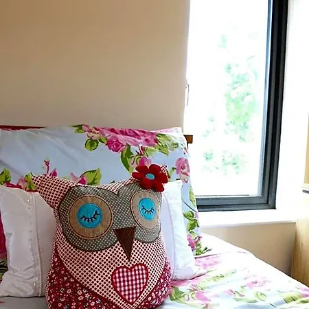Emy Lakehouse - Near Castle Leslie, Glaslough فندق مبيت وإفطار 4*