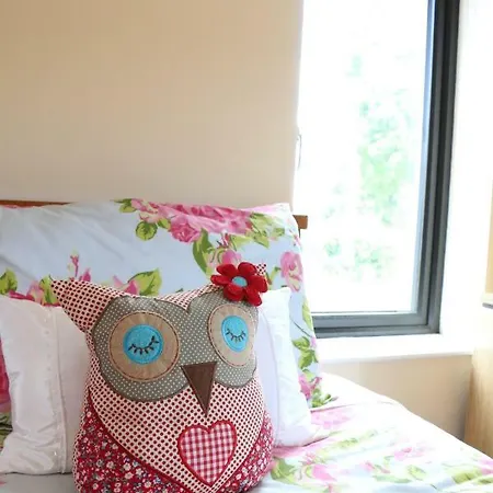 Emy Lakehouse - Near Castle Leslie, Glaslough 4*