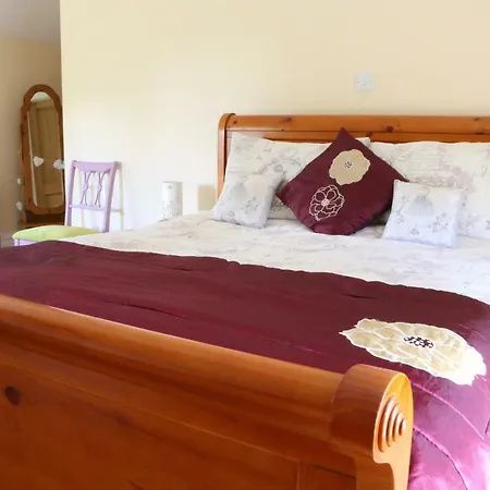 Emy Lakehouse - Near Castle Leslie, Glaslough Bed & Breakfast 4*